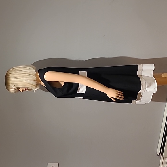 Calvin Klein black fit and flare dress ith taule and white stripes size 12 - Picture 3 of 6